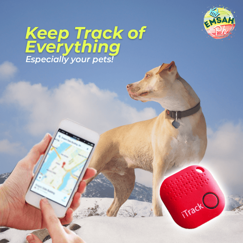 Pet & Animal — Social media graphic design