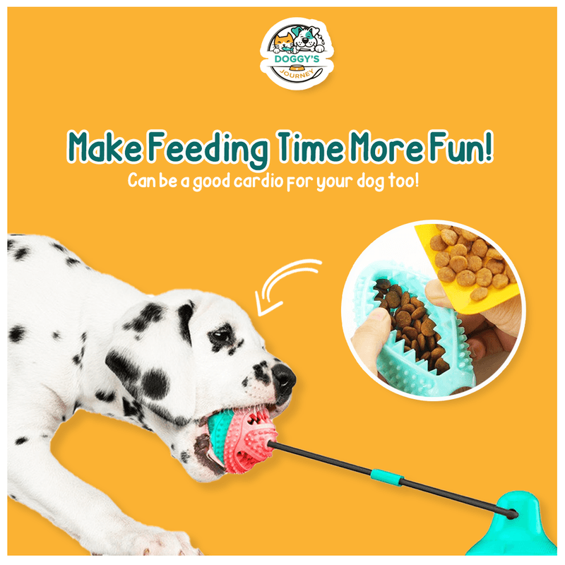 Pet & Animal — Social media graphic design