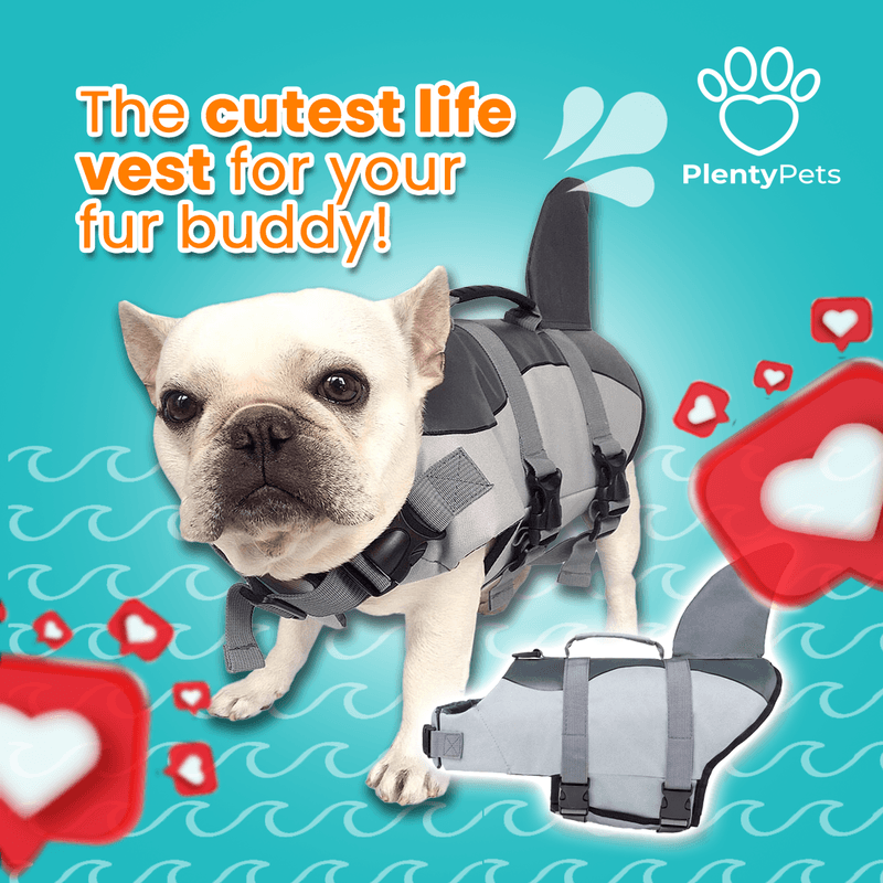 Pet & Animal — Social media graphic design