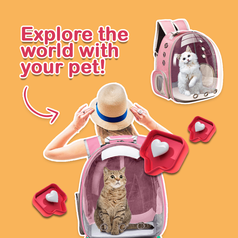 Pet & Animal — Social media graphic design