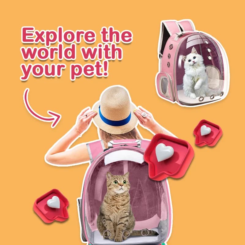 Pet & Animal — Social media graphic design