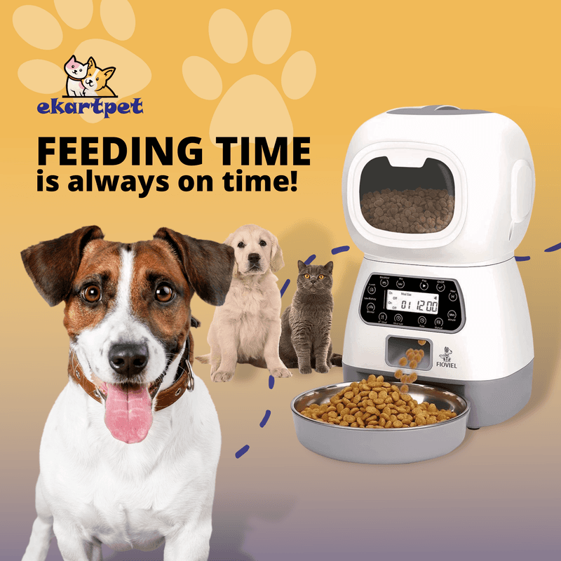 Pet & Animal — Social media graphic design