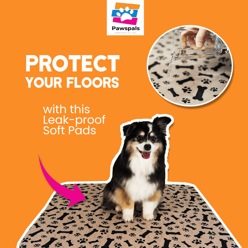 Pet & Animal — Social media graphic design