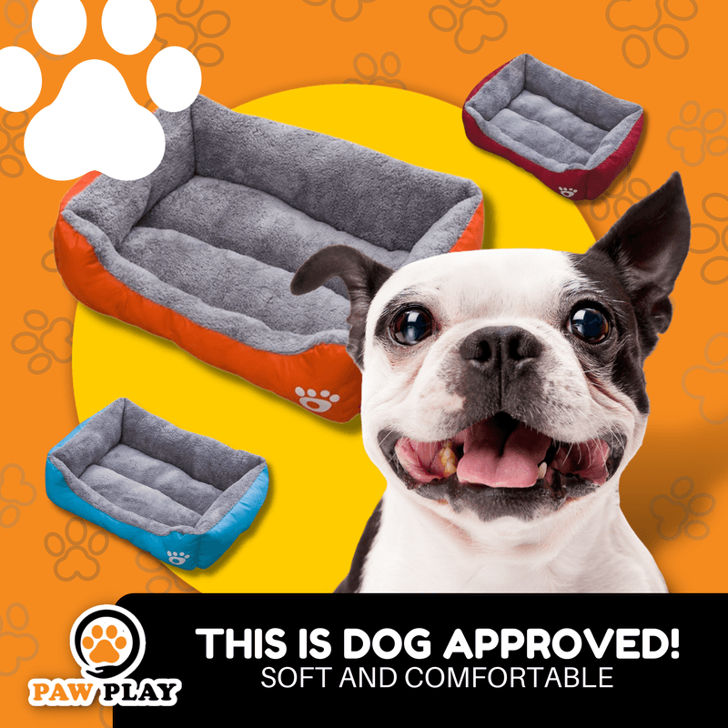 Pet & Animal — Social media graphic design